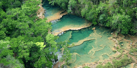 Cultivation & Environment